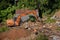 Bulldozer and construction machinery destroys illegal buildings in the park. Destroy of an illegally built old building in nature