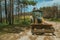 Bulldozer on a dirt road in a burnt forest