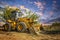A bulldozer or loader moves the earth at the construction site against the sunset