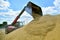 The bulldozer moves the grain into a large pile with a bucket, works in the open air.