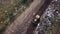 Bulldozer pushes garbage onto one pile