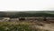 Bulldozer tractors on the large rural landfill.