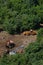 Bulldozers and excavators are being built in the forest, top view - July 10, 2020, Moscow, Russia