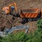 Bulldozers, excavators and a truck in the forest, top view - July 10, 2020, Moscow, Russia