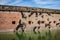 Bullet holes / cannon holes in the brick walls of Fort Pulaski National Monument in Georgia from the Civil War