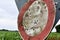 Bullet holes in a german traffic sign from a gun shooting exercise