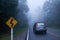 A bullet riddled curvy road sign and silver SUV car on the asphalt road through a misty mysterious tropical forest. Somewhere in