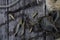 Bullet shells and rusy chain resting on wooden table