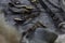 Bullet shells and rusy chain resting on wooden table