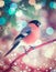 Bullfinch in Christmas setting