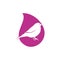 Bullfinch drop shape concept logo design