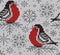 Bullfinch jacquard knitted seamless pattern