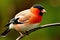 Bullfinch on a tree branch in the winter forest. Generative Ai