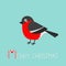 Bullfinch winter red feather bird. Merry Christmas greeting card.