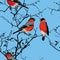 Bullfinches on the branch cyan seamless vector pattern