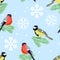 Bullfinches and tits sitting on spruce branches on blue background. Winter seamless pattern with birds