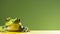 Bullfrog frog on green background with lots of copy space