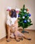 Bullmastiff dog and Christmas tree