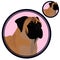 Bullmastiff dog head in circle