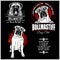 Bullmastiff dog - vector set for t-shirt, logo and template badges