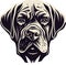 Bullmastiff Head, high quality victor illustration