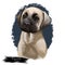 Bullmastiff puppy breed dog portarait digital art illustration