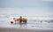 A Bullock Cart and a Dog running in Seawater at a Beach