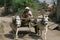 Bullock cart, India