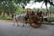 Bullock cart riding in INdian tourist park
