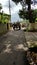 Bullock Carts on an Asphalt Road Junction in Kerala