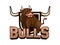 Bulls Banner With Shield Color Logo Illustration