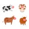 Bulls cows farm animal character vector illustration cattle mammal nature wild beef agriculture.