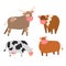 Bulls cows farm animal character vector illustration cattle mammal nature wild beef agriculture.