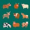 Bulls cows farm animal character vector illustration cattle mammal nature wild beef agriculture.