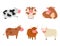 Bulls cows farm animal character vector illustration cattle mammal nature wild beef agriculture.