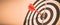 Bulls eye or bullseye target or dart board has red dart arrow throw hitting the center of a shooting for business targeting