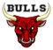 Bulls Sports Mascot