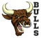 Bulls Sports Mascot