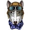 Bullterrier, dog. Portrait of cartoon animal. Vintage aviator helmet with googles.