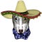 Bullterrier, dog. Sombrero mexican hat. Portrait of cartoon animal.
