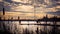 Bulrushes silhouetted against a lake at sunset