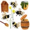 Bumble bee, beehive, honey dipper, Glass jars with Honey, Wooden Hive, Chamomile flower on white background. 3d Vector