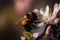 Bumble bee on a cheery blossom, Generative AI