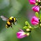 A bumblebee collects nectar on bright flowers. The image was created using generative AI