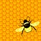 Bumblebee and honeycombs