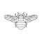 Bumblebee icon in a Linear Minimalist trendy style. Vector outline Emblem of Insect with wings for creating logos