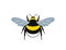 Bumblebee logo. Isolated bumblebee on white background