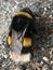 The bumblebee on the road. Macro photo