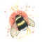 Bumblebee with a round piece of grapefruit, splashes of juice and ribbons. Watercolor illustration. For the design and