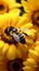 Bumblebee on vibrant sunflower, close up capturing natures pollination moment